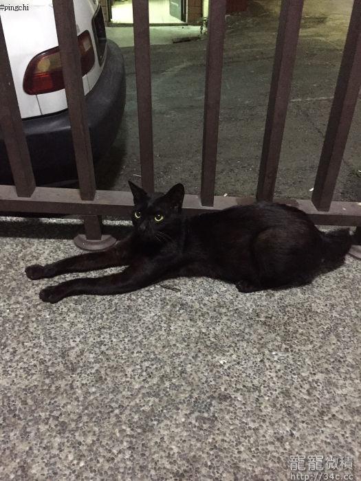 南投縣