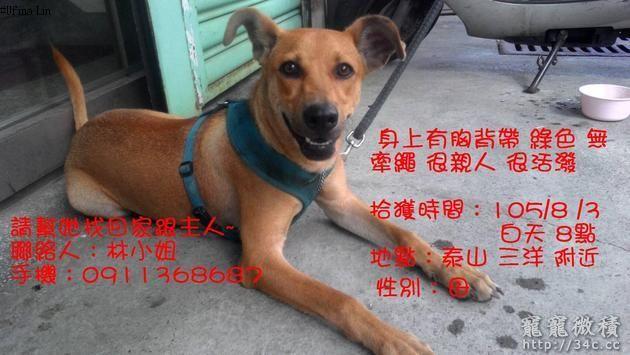 台北縣