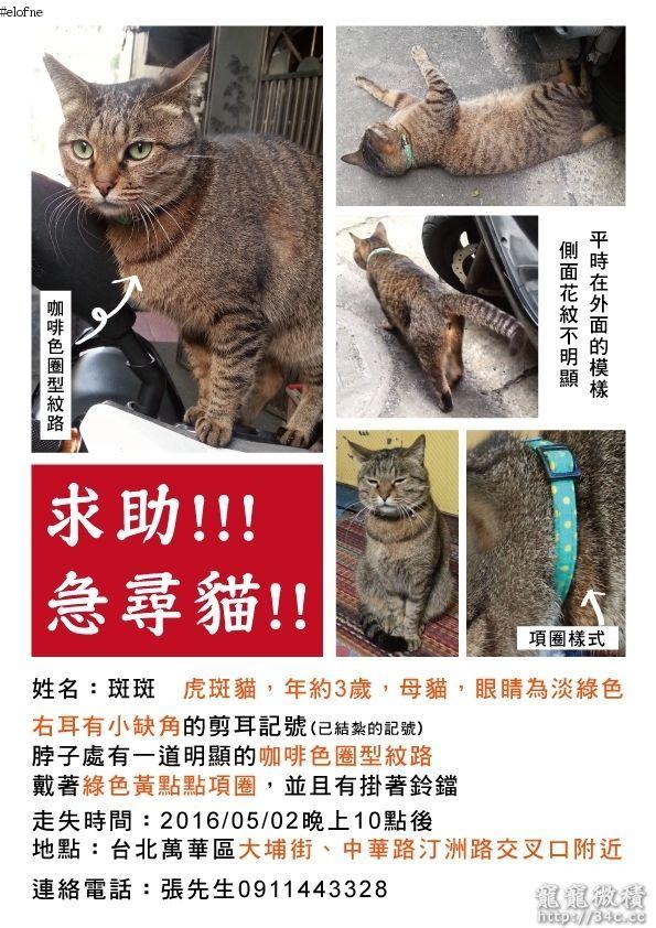 台北市