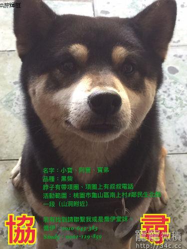 桃園市