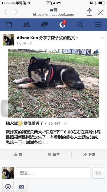 台中縣