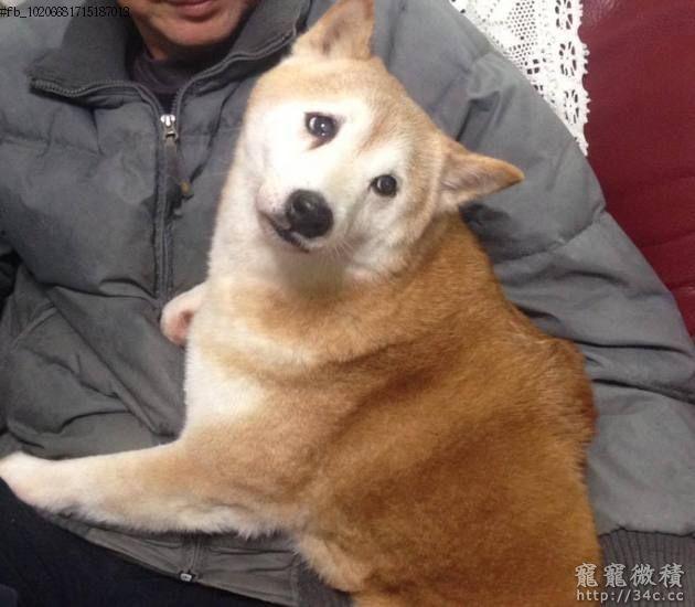 宜蘭縣