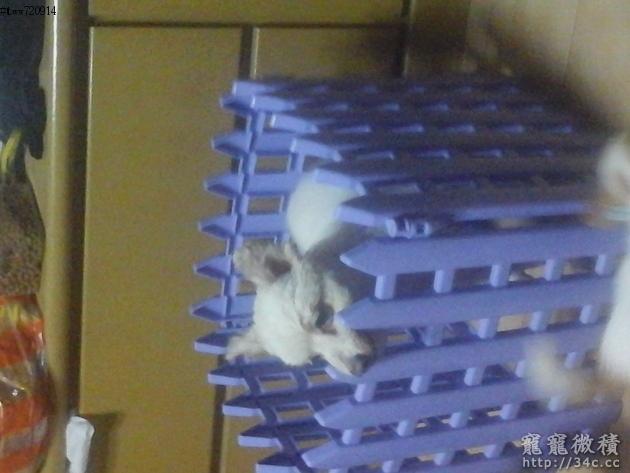 高雄市