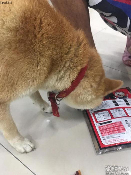 新北市