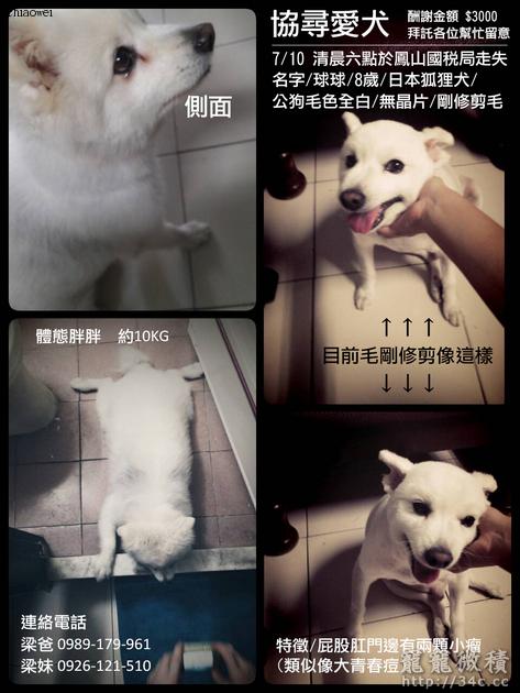 高雄縣