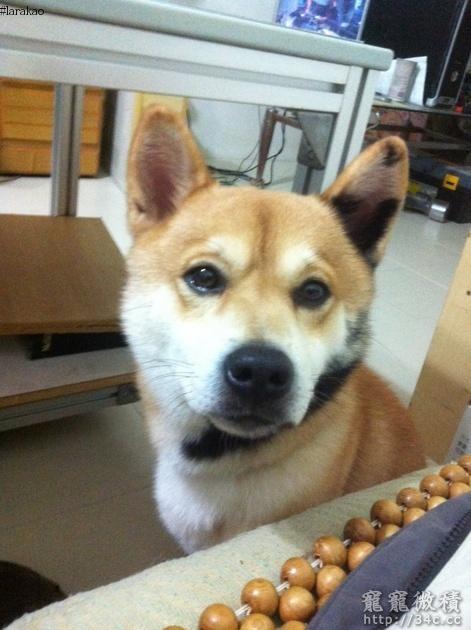 台南縣