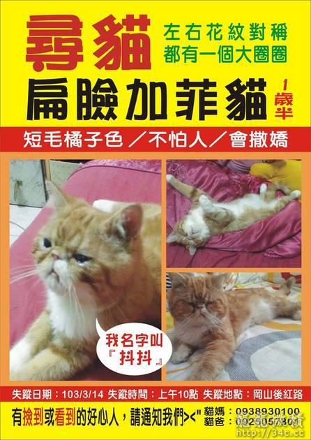 高雄市