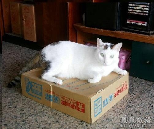 高雄市