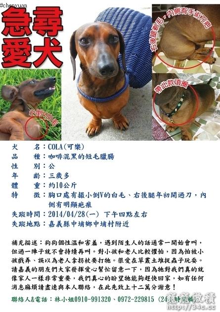 嘉義縣