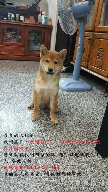新北市