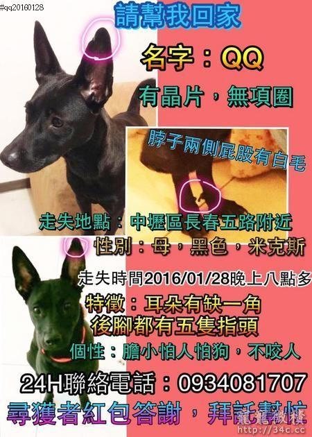 桃園縣