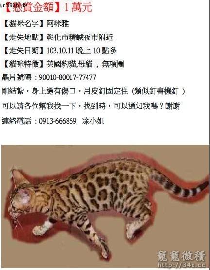 彰化縣