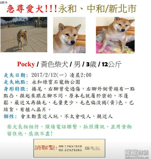 新北市