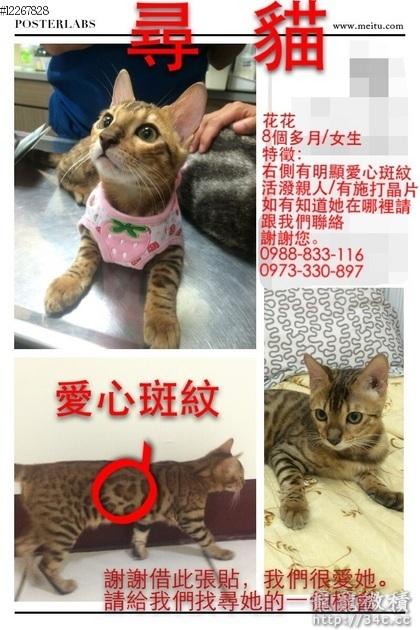 新竹縣