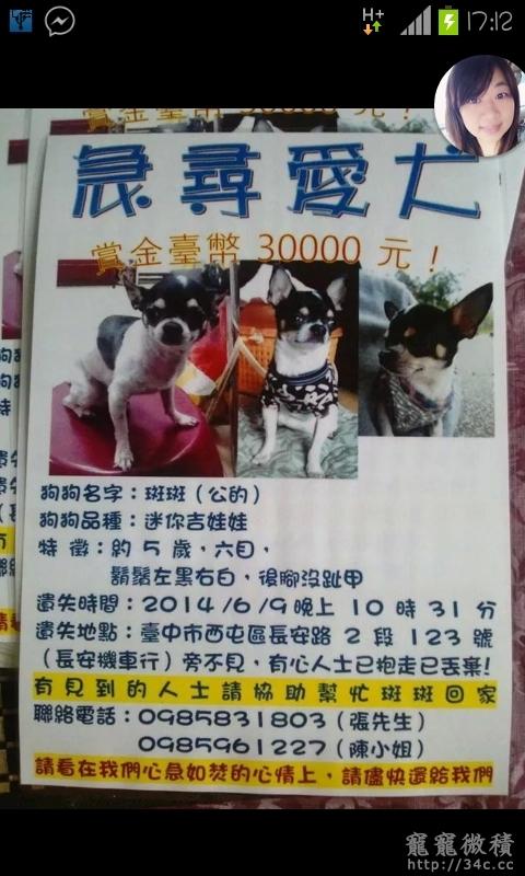 全台灣