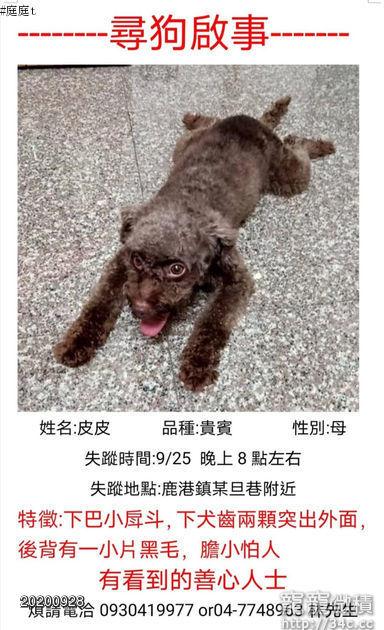 彰化縣