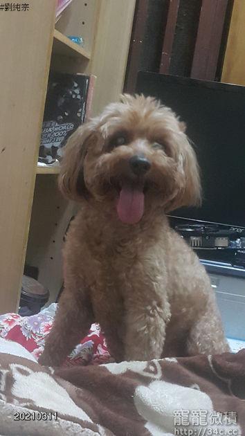 新竹縣