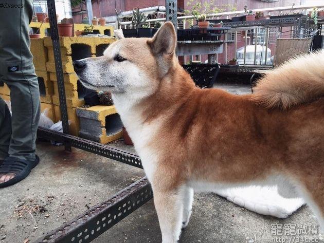 台北市