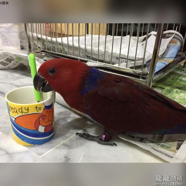 彰化縣