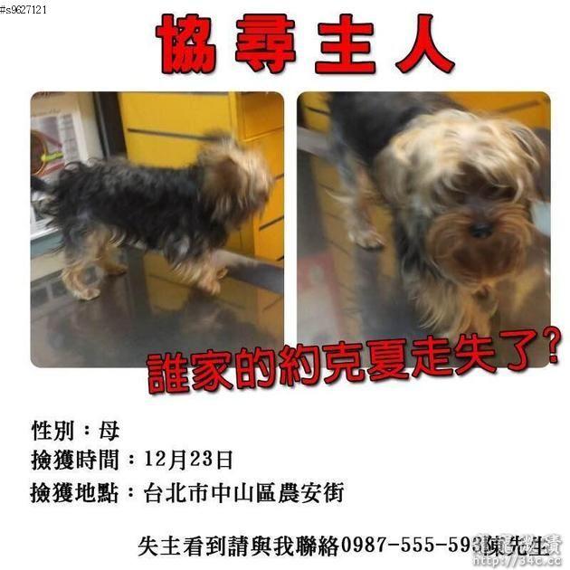 台北市