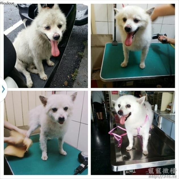 高雄縣