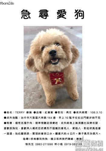 台中市