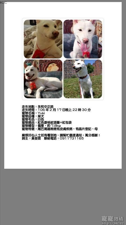 新北市