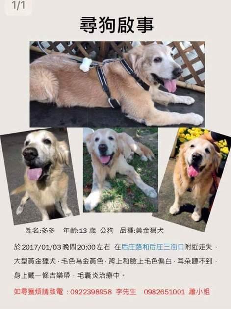 台中市