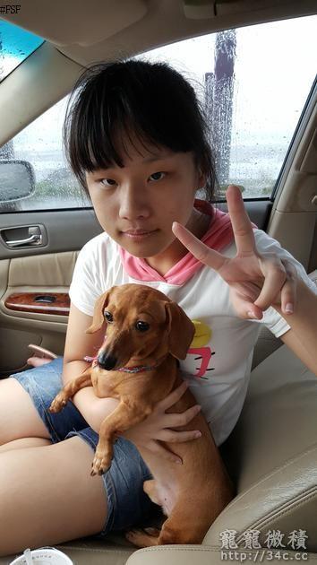 桃園市