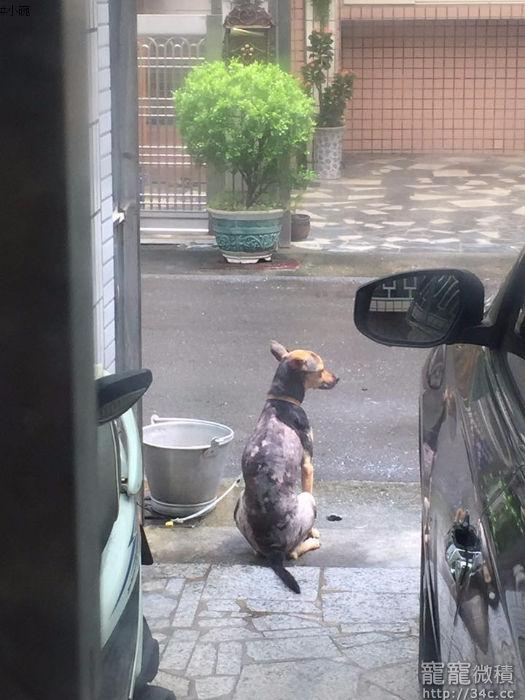 高雄市