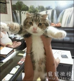 台北縣