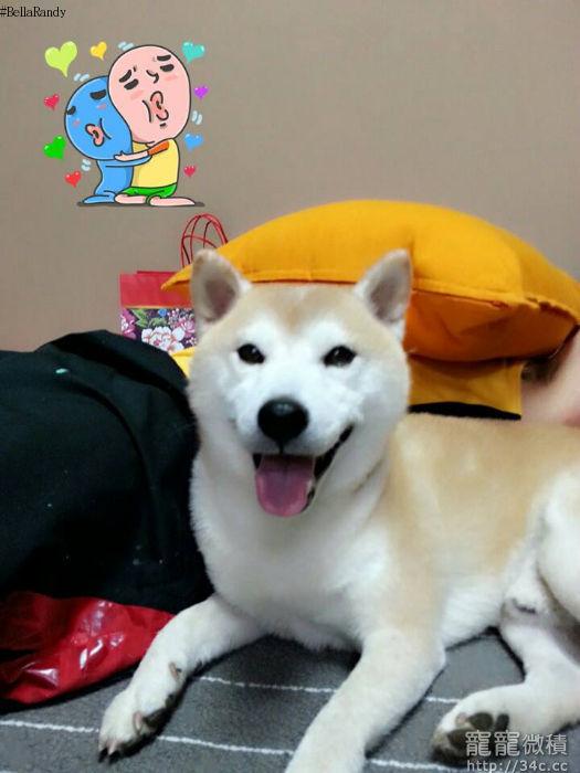 桃園市