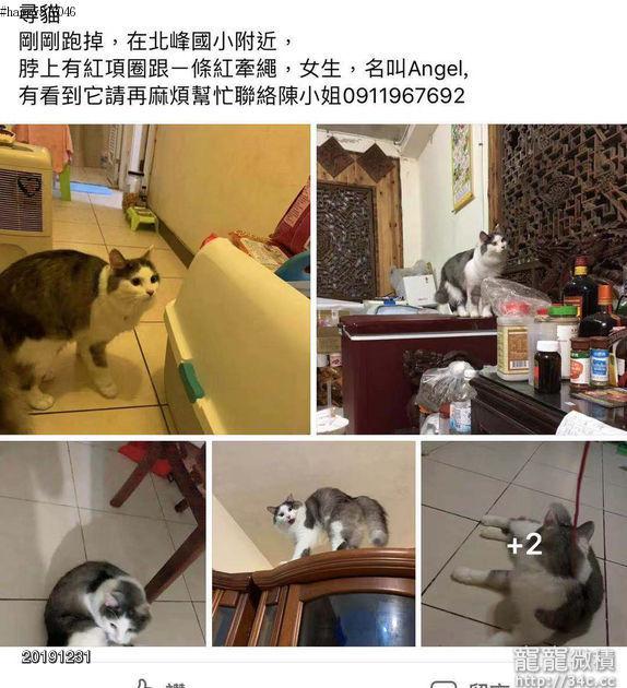 新北市