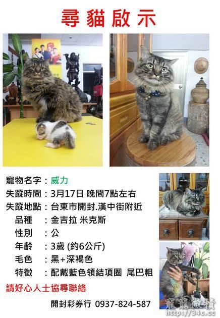台東縣