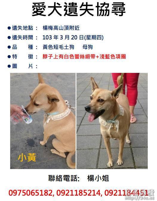 桃園縣