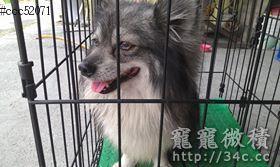彰化縣
