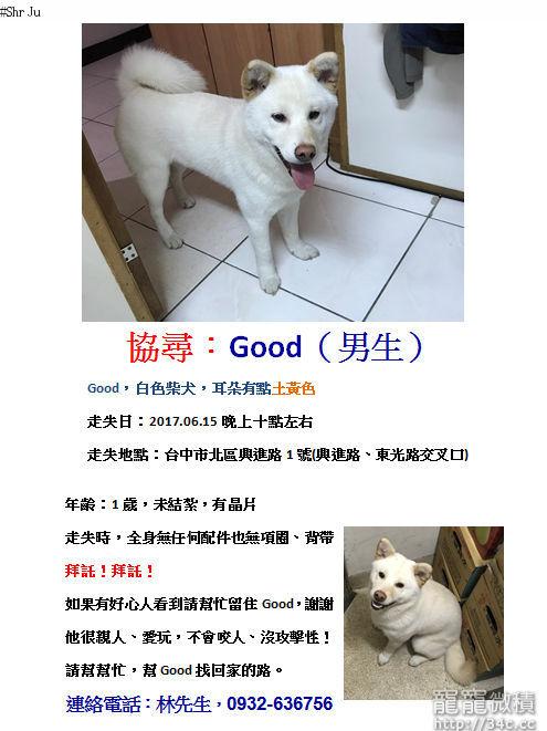 台中市