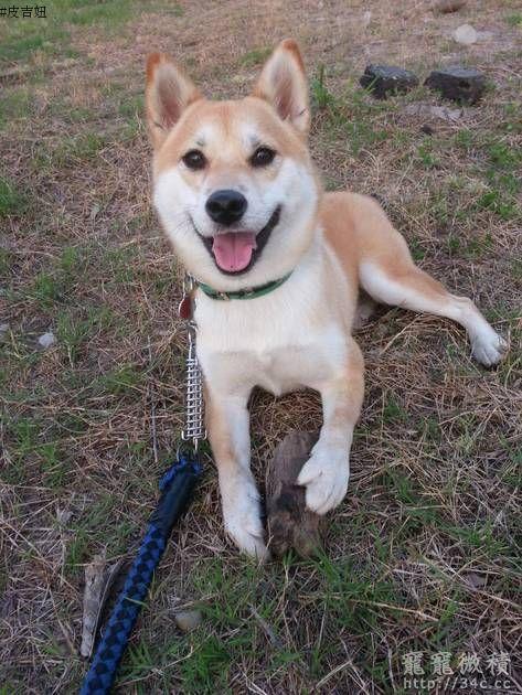 台東縣