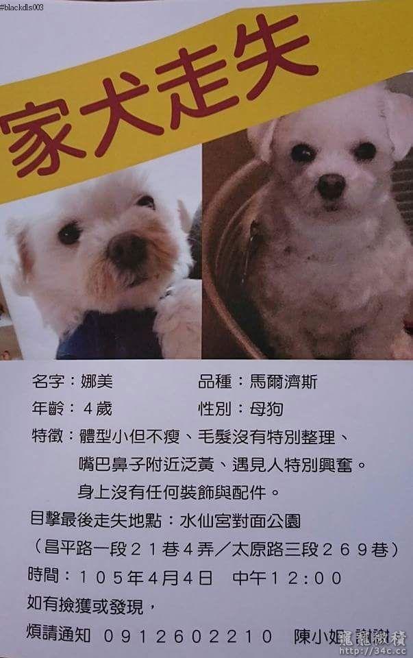 台中市