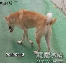 高雄市